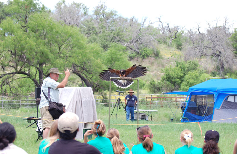 Raptors are just one of the many things people can learn about during the second annual Balcones Canyonlands National Wildlife Refuge Roundup on Saturday, Oct. 13, at refuge headquarters, 24518 RR 1431 between Marble Falls and Lago Vista. The event is free and goes from noon to 4 p.m. There will be activities and programs such as the raptor show at 3 p.m. and the reptile show at 1 p.m. There’s also archery and BB gun stations and much more. Courtesy photo by David Maple