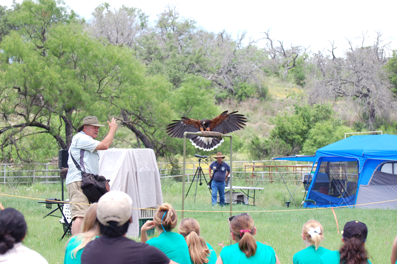 Raptors are just one of the many things people can learn about during the second annual Balcones Canyonlands National Wildlife Refuge Roundup on Saturday, Oct. 13, at refuge headquarters, 24518 RR 1431 between Marble Falls and Lago Vista. The event is free and goes from noon to 4 p.m. There will be activities and programs such as the raptor show at 3 p.m. and the reptile show at 1 p.m. There’s also archery and BB gun stations and much more. Courtesy photo by David Maple