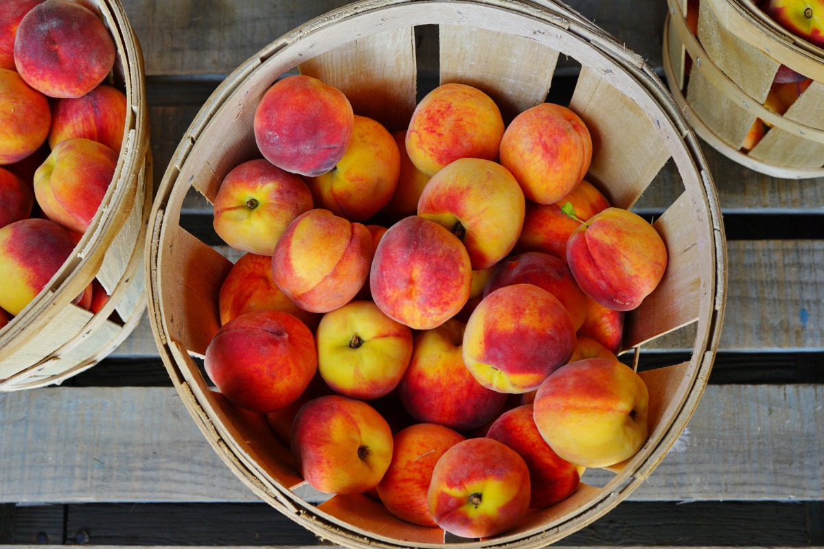 Peaches in a bushel