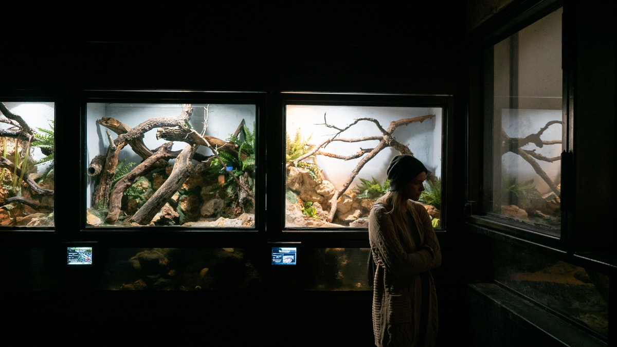 Reptilandia in Johnson City Texas