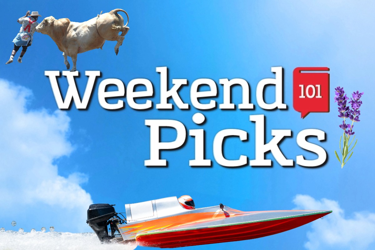 Weekend Picks decorative image