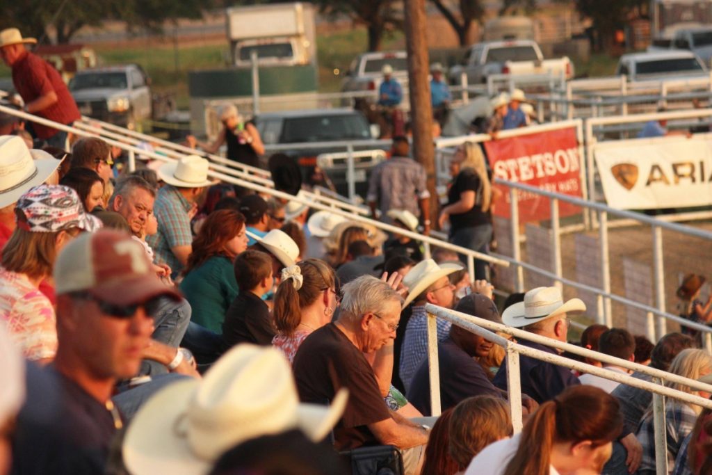 crowd watching rodeo