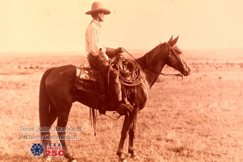 Cowboy in Texas
