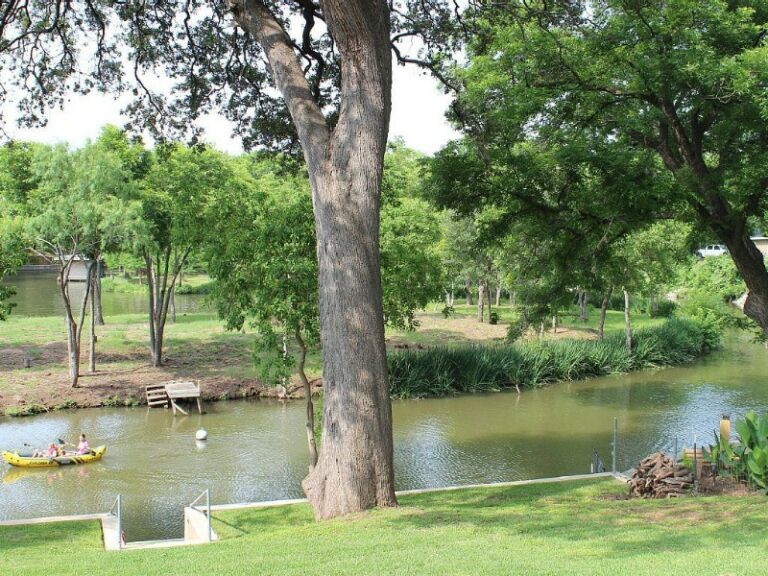 bird_song_cabin bird_song_cabin