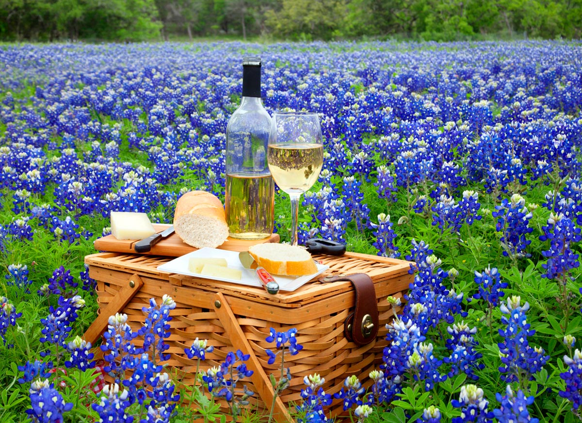 Wine and Bluebonnets in Burnet County