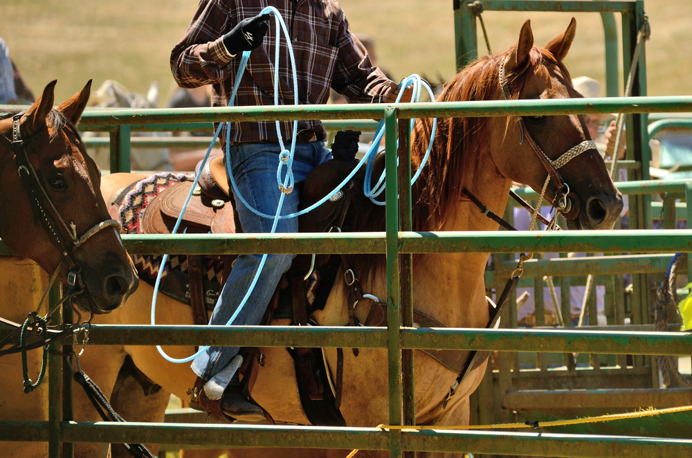 Highland Lakes Rodeos