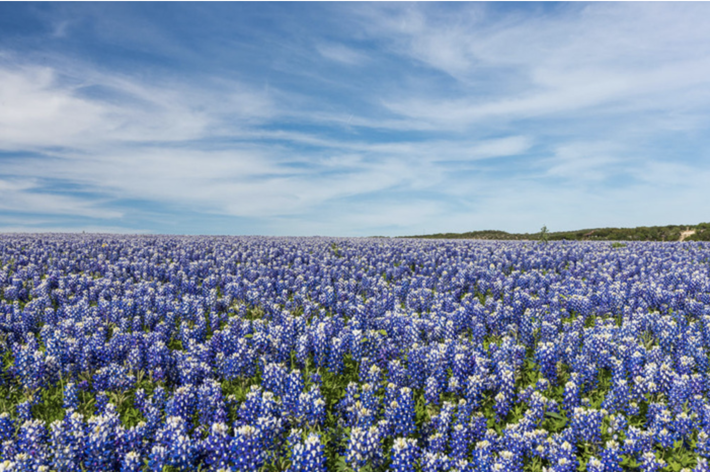 Spring in the Highland Lakes has not been canceled