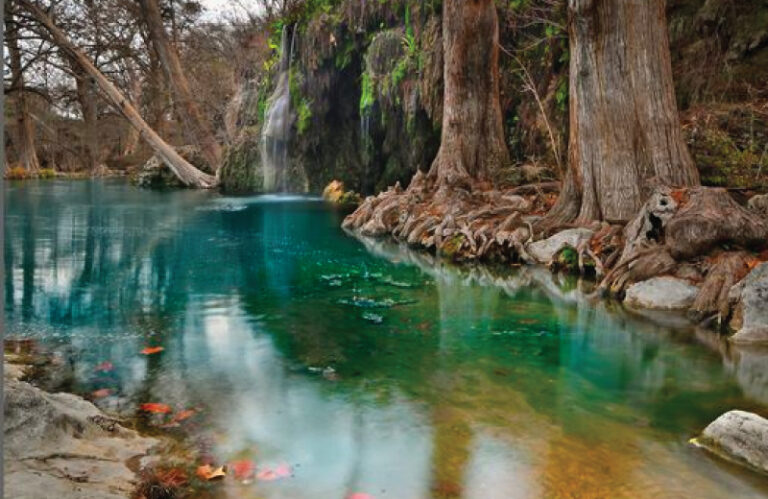 Krause Springs 768x499