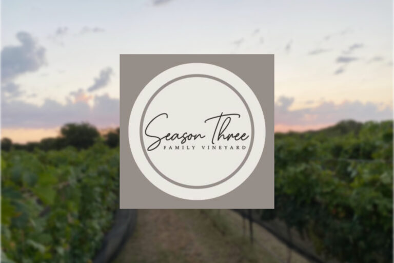 DT IG Template 2 resize for web 9 768x512