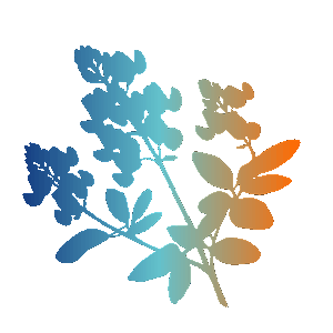 A silhouette of a flowering plant with leaves and blossoms, filled with a gradient of blue, green, and orange colors on a light gray background.