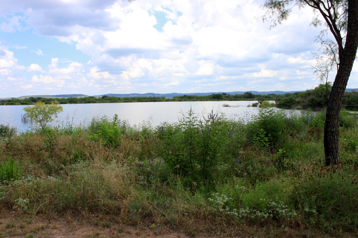 Canyon of the Eagles overlooking Lake Buchanan in Burnet Texas