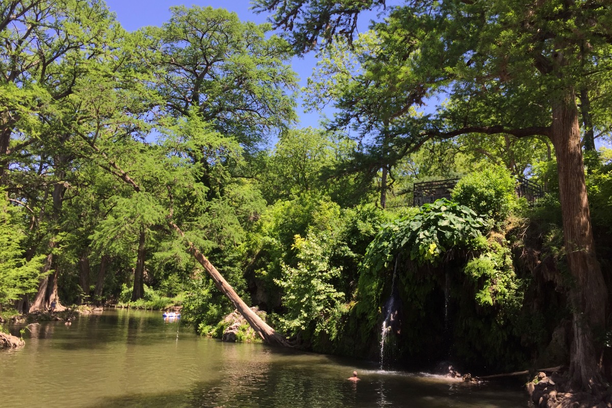 A peaceful river winds through lush green trees in Burnet County, with sunlight filtering through the leaves. A small waterfall trickles down a rocky ledge into the water, and a person swims nearby under a bright blue sky—perfect for unexpected finds.