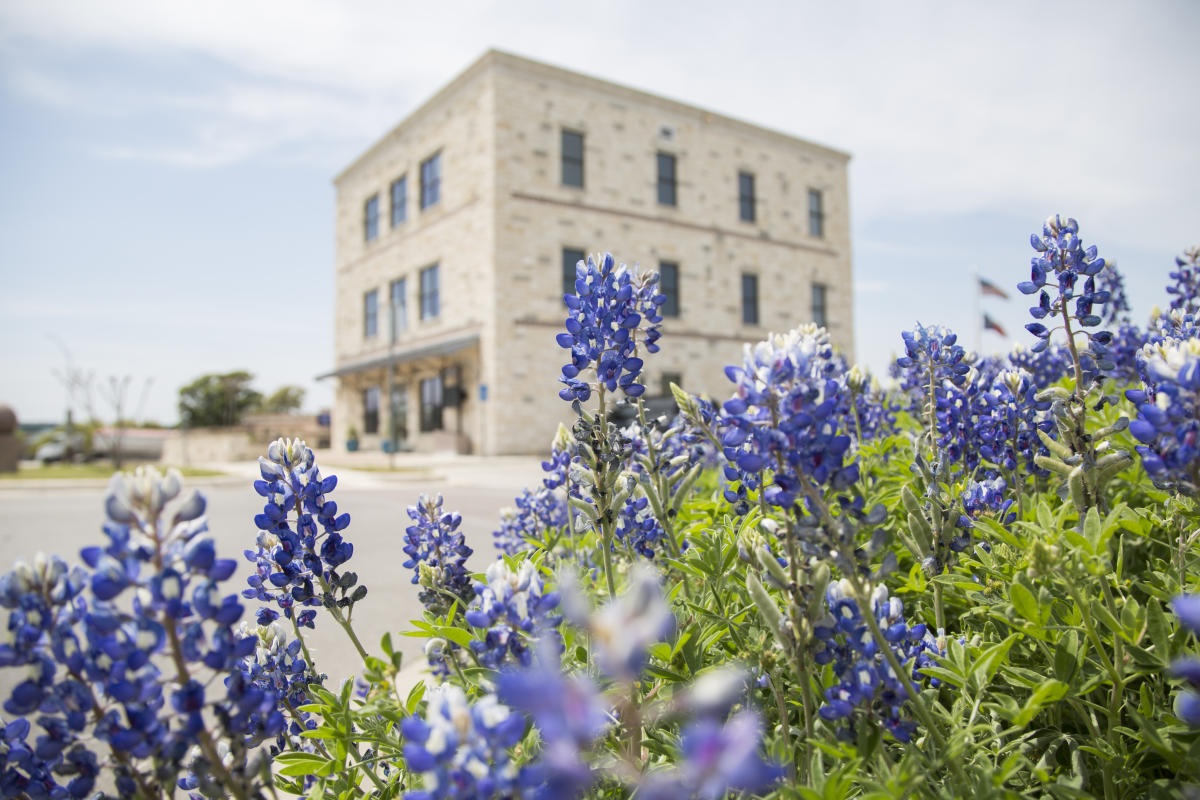 Bluebonnet flowers in sharp focus in the foreground, with the Marble Falls Visitor Center—a three-story stone building—and a partly cloudy sky blurred in the background.