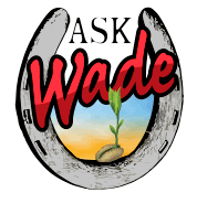Ask Wade Hibler