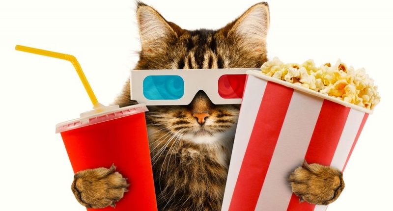 KBEY 103.9 FM Radio Picayune's "Movie MInute" for July 8.
