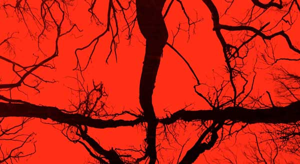 'Blair Witch' in Marble Falls
