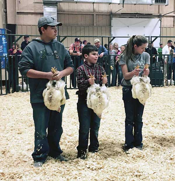 Participants in a past Llano County Junior Livestock Show.