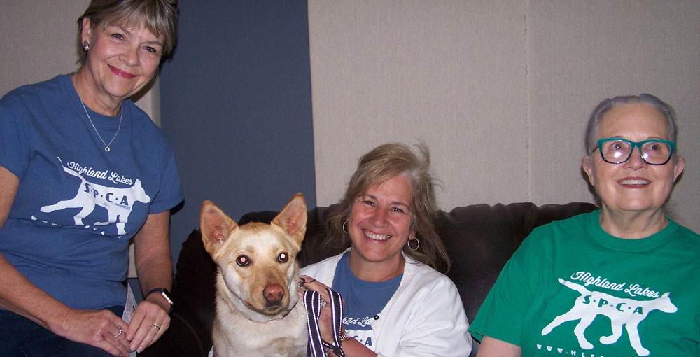 Highland Lakes SPCA