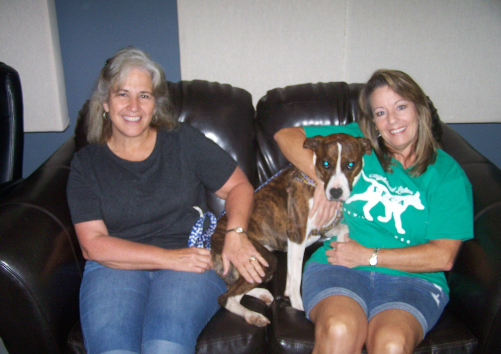 Highland Lakes SPCA