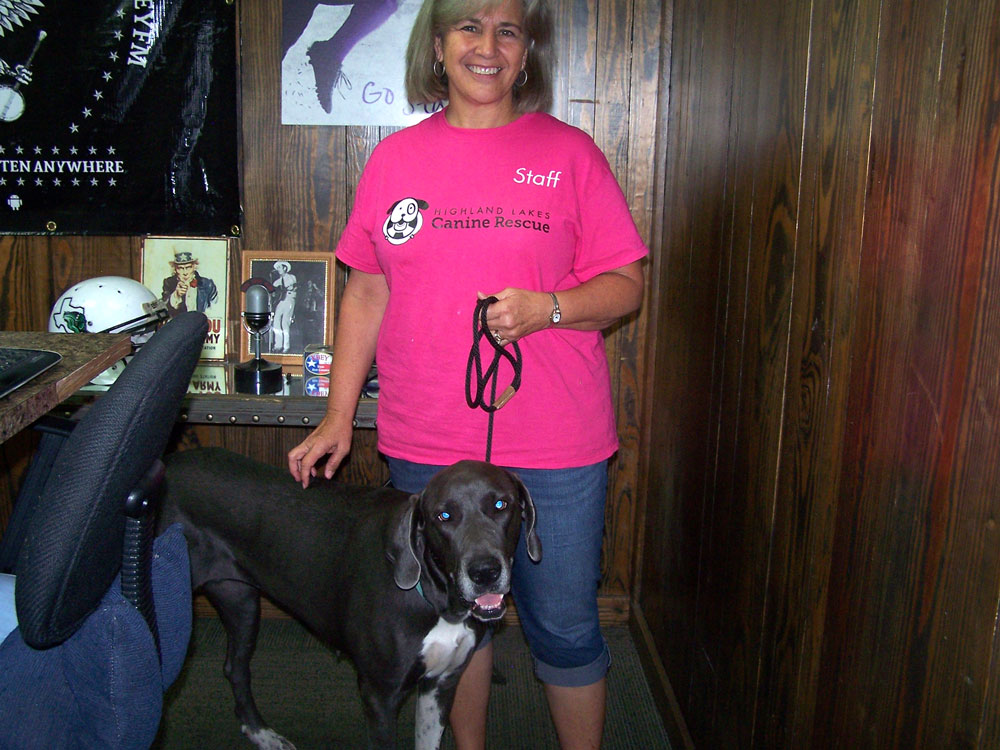 Highland Lakes SPCA