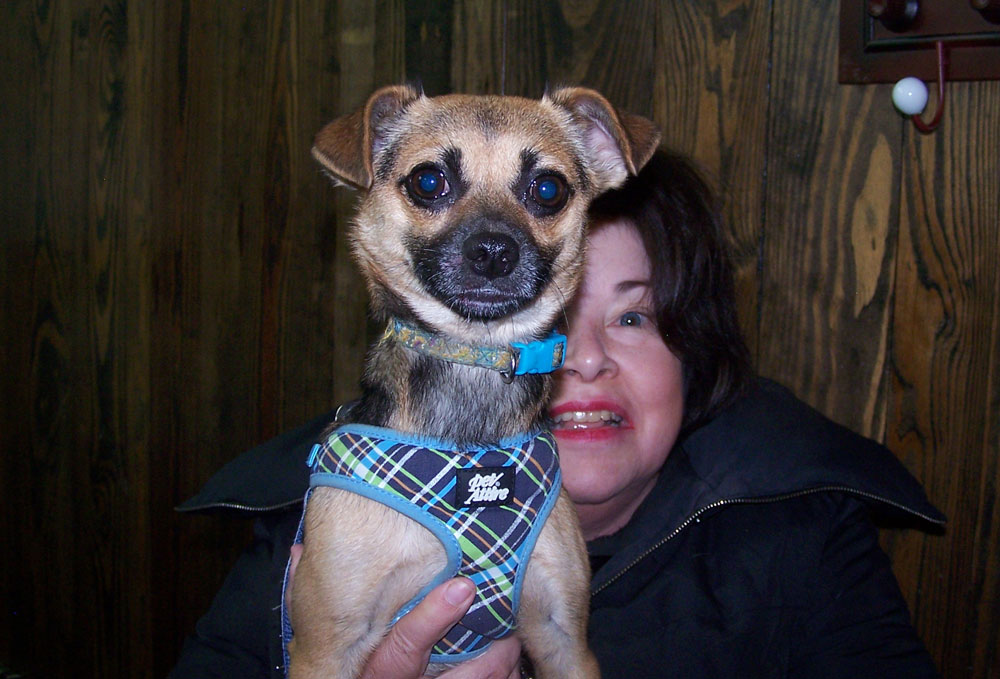 Highland Lakes Canine Rescue