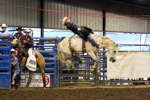 Bronc rider at a Llano rodeo