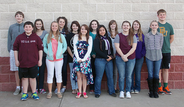 Llano High School band