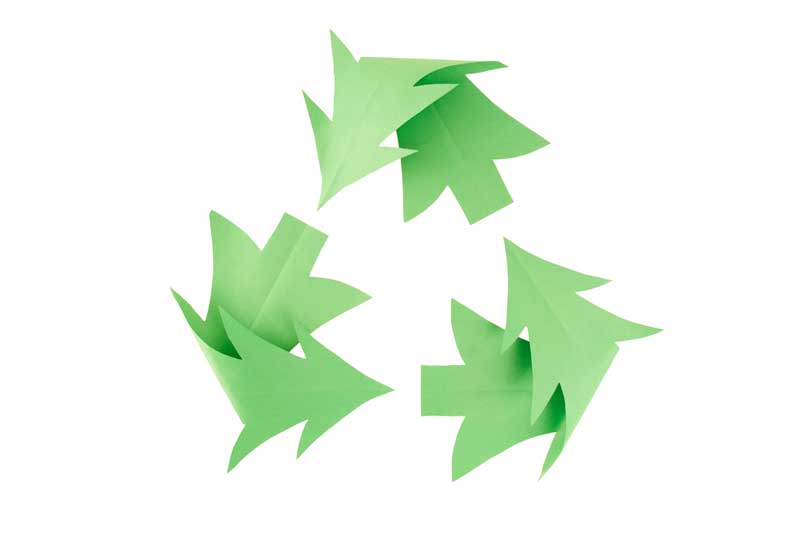 PEC Christmas tree recycling