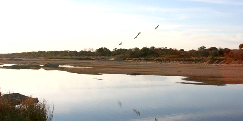 The Texas Department of Transportation has proposed a new bridge over the Llano River in northwestern Llano County to retire the aging Schneider Slab Crossing bridge. Pictured is a popular area of the Llano River just off CR 152. Staff photo