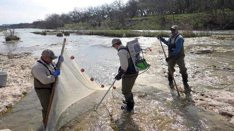 Texas Parks and Wildlife Department biologists conducted fish surveys during a multi-day sampling trip on the South Llano and Llano rivers. The study was done with the Llano River Watershed Alliance in March to see how fish populations were recovering from the October 2018 flood. Photo courtesy of the Texas Parks and Wildlife Department