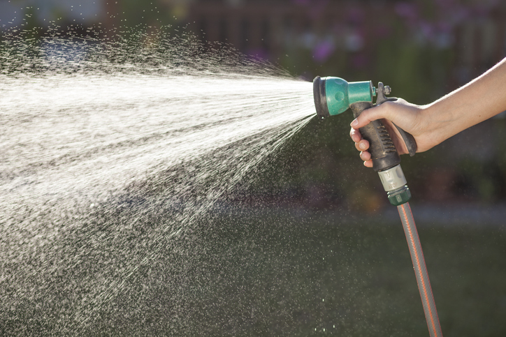 Watering hose