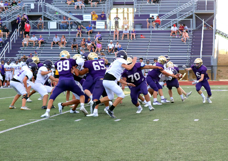 Marble Falls Mustangs