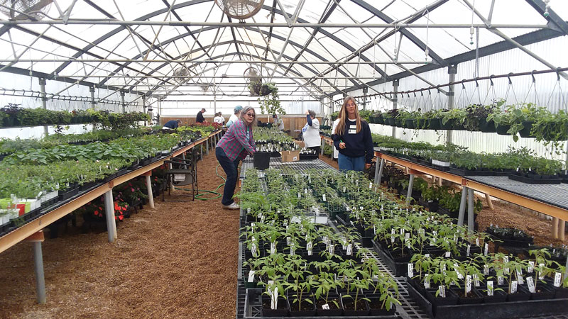 Burnet Middle School plant sale