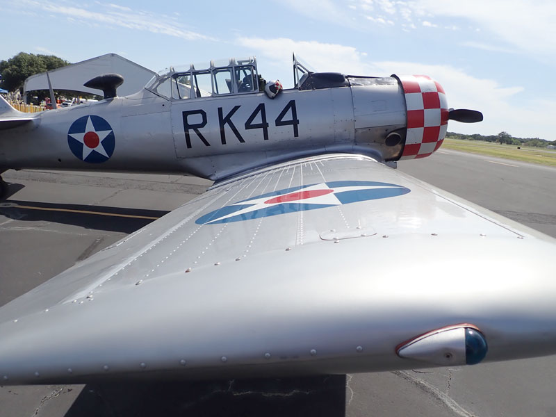 Burnet Bluebonnet Airshow returns in spring 2021