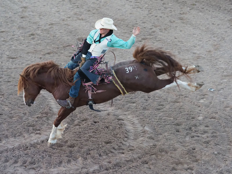 Burnet County Rodeo 2020 postponed