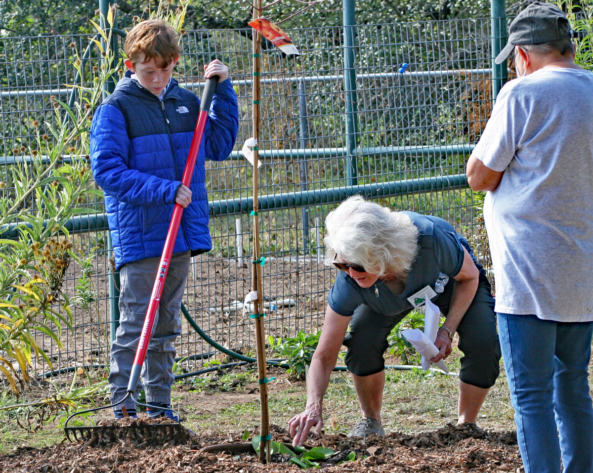Memorial trees planted in King's Garden