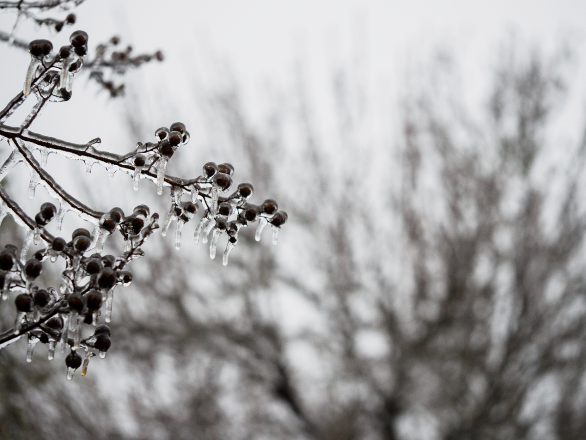 Icy conditions cause power outages