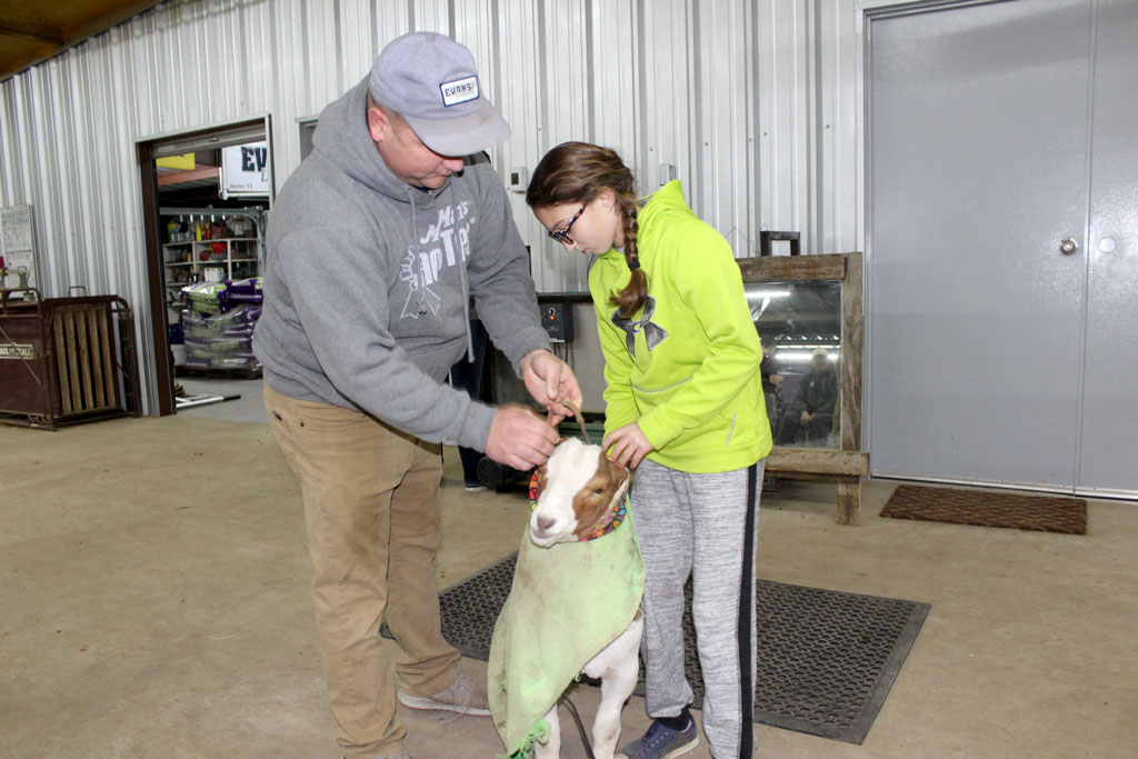Evans Livestock in Burnet County