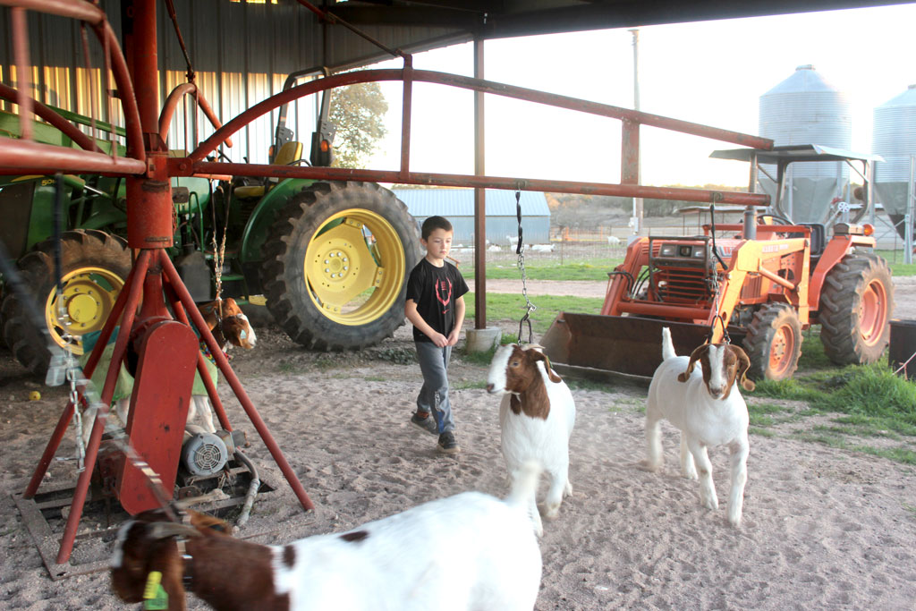Evans Livestock in Burnet County