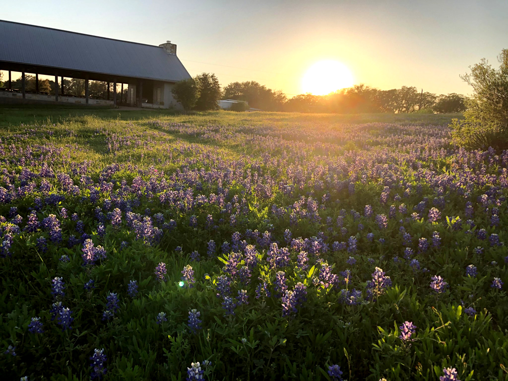 Candlelight Ranch in Marble Falls