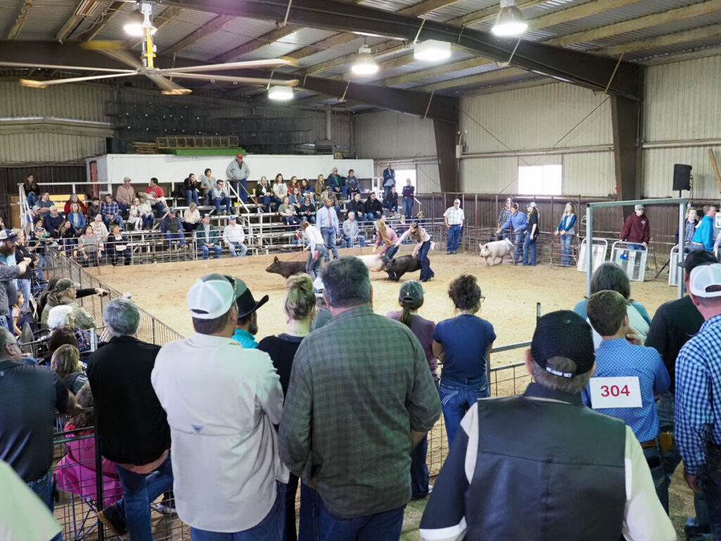 Burnet County Junior Livestock Show