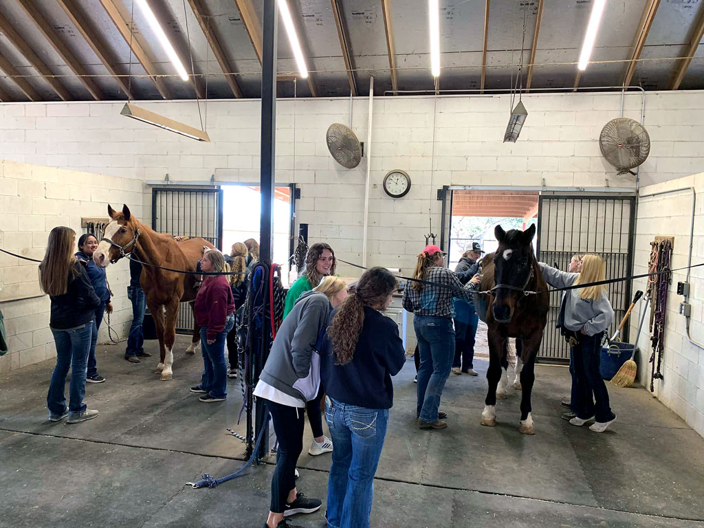 Burnet High School students help the HARTH Foundation