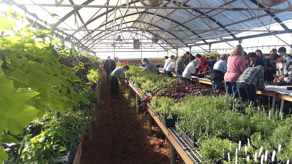 Burnet Middle School greenhouse