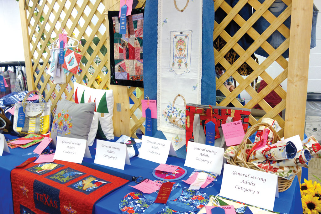 Burnet County Area Fair