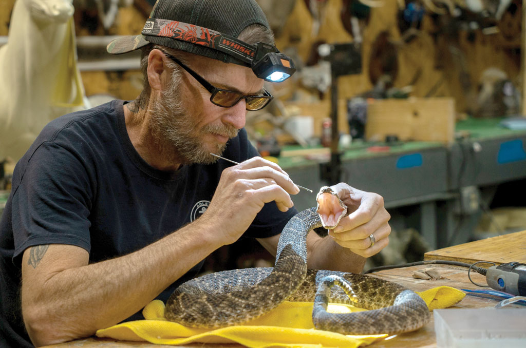 Lone Star State School of Taxidermy student Bobby Jack Watson