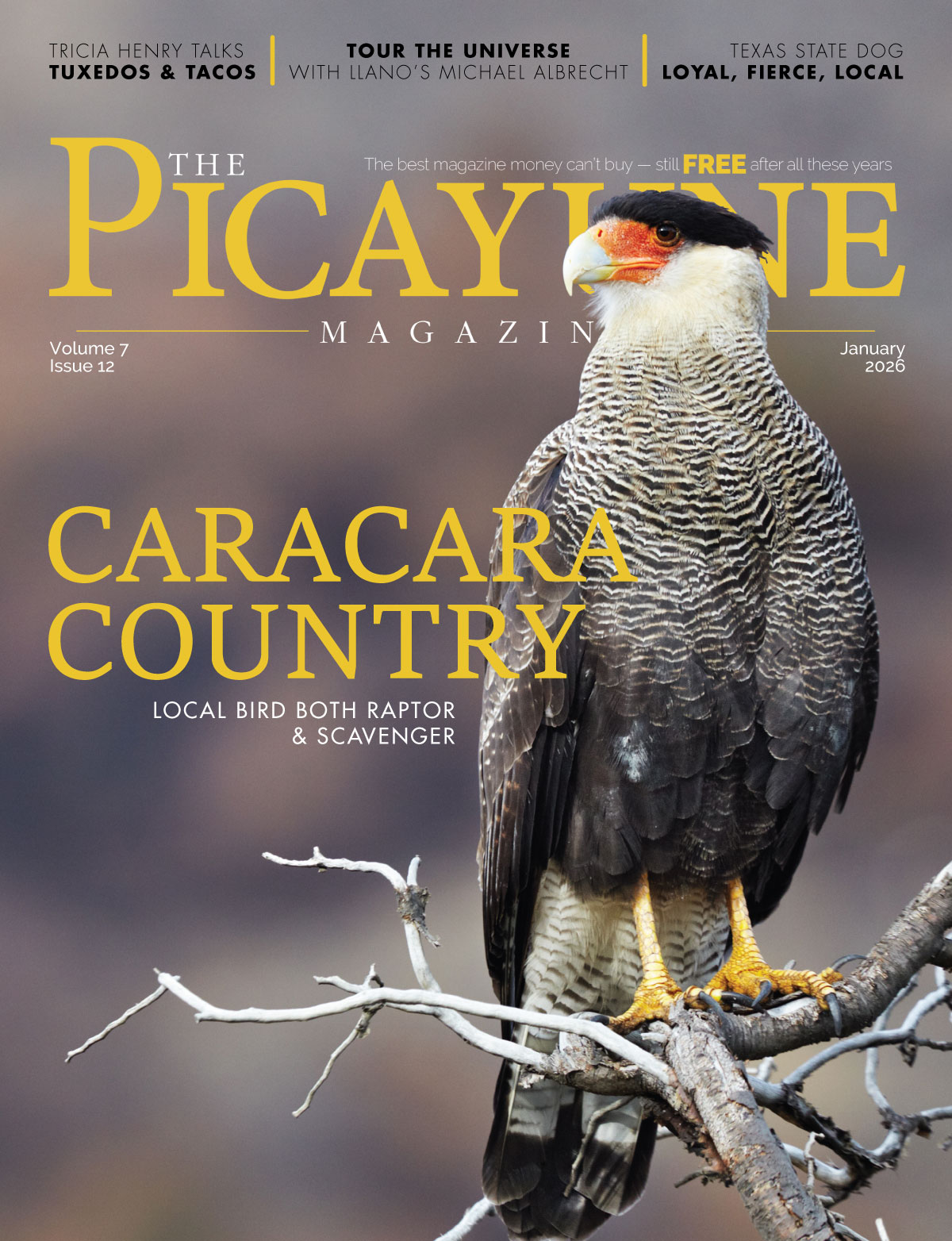 The Picayune Magazine Current Edition