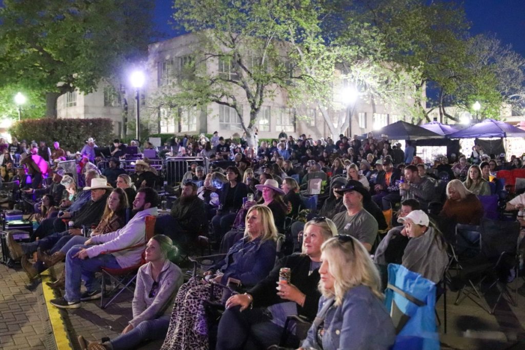 outdoor concert audience