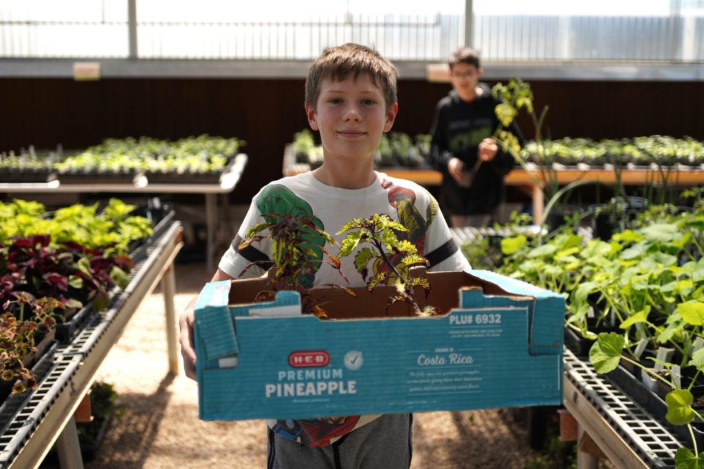 student holding plants in a greenhouse