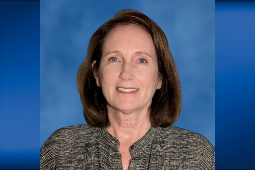 Mary Flanagan with the Phoenix Center