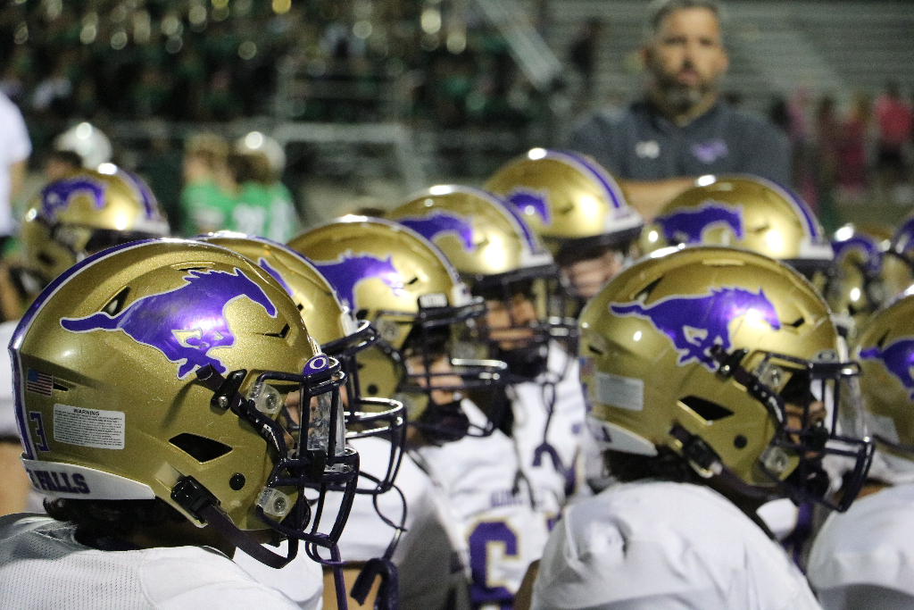 Marble Falls Mustangs football